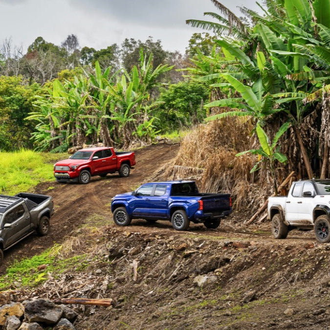 2024 Toyota Tacoma model lineup