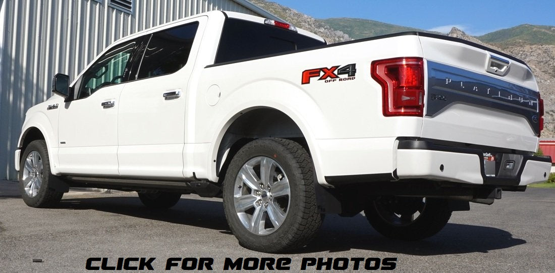 Ford F-150 2015-2020 Mud Flaps — RokBlokz