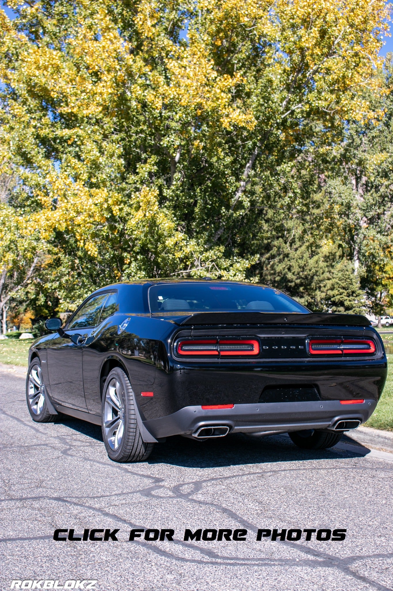 Dodge Challenger 2015-2023 Splash Guards — RokBlokz